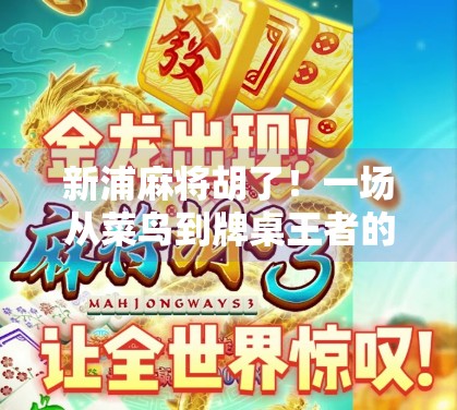 新浦麻将胡了!一场从菜鸟到牌桌王者的逆袭之路,原来赢在细节和心态! 新浦麻将胡了!一场从菜鸟到牌桌王者的逆袭之路,原来赢在细节和心态!