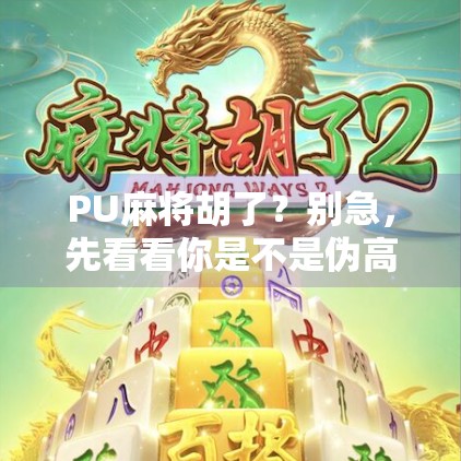 PU麻将胡了？别急，先看看你是不是伪高手！