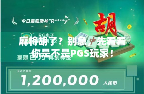 麻将胡了?别急,先看看你是不是PGS玩家! 麻将胡了?别急,先看看你是不是PGS玩家!