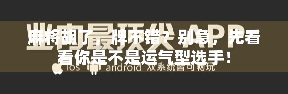 麻将胡了,牌不错?别急,先看看你是不是运气型选手! 麻将胡了,牌不错?别急,先看看你是不是运气型选手!