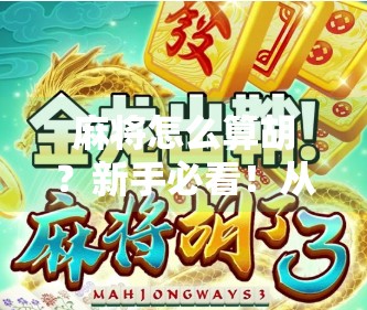 麻将怎么算胡？新手必看！从基础规则到常见胡法全解析，让你秒变牌技高手！